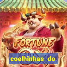 coelhinhas do brasil acompanhantes